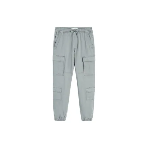 Hollister Casual Pants Men Gray