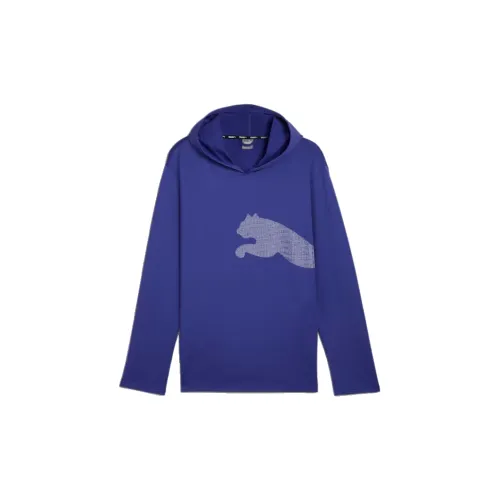 PUMA Big Cat Sweatshirts Men Dark Violet