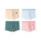 Light Apricot-Sky Blue-Gray Green-Shrimp Pink