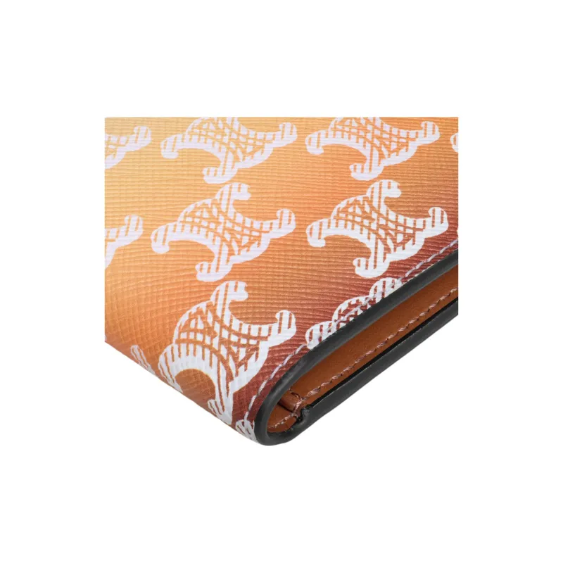 CELINE Leather Card Holder Women's Multicolor-4