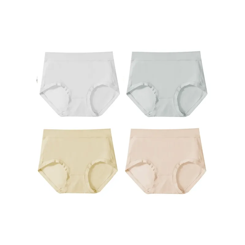 Lanza Underpants Women's 4 Pack-5