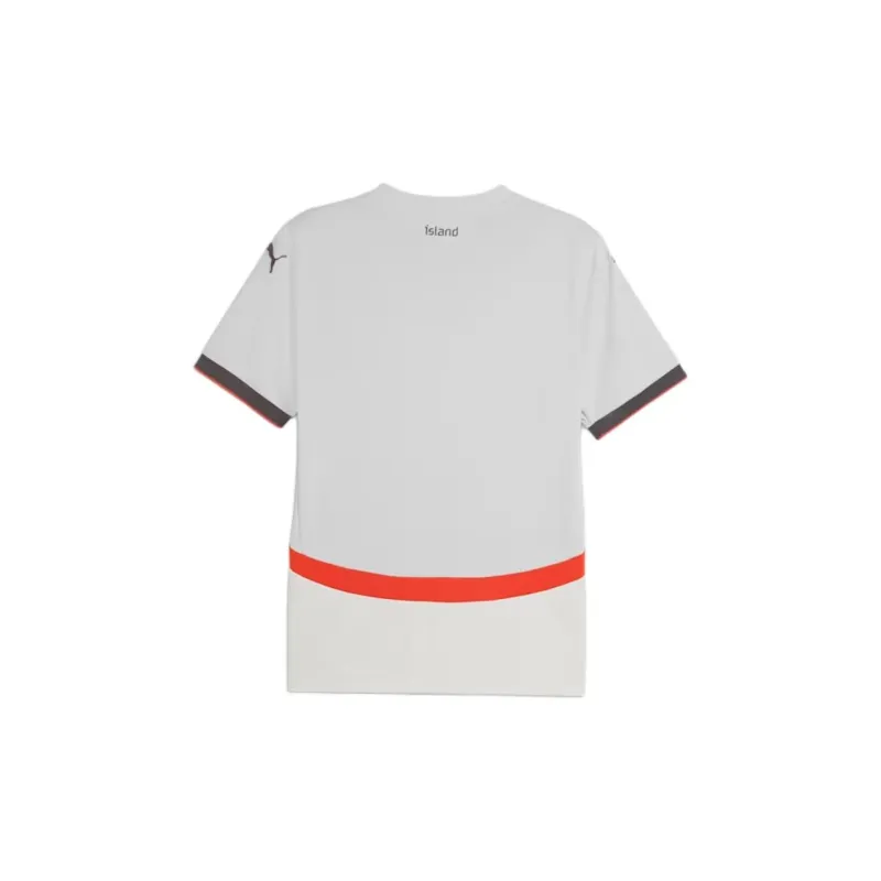 PUMA Iceland 2024 Soccer Jerseys Men's Gray White - Warm Earth Tone-1