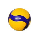 Size 5 Ball, Single Ball