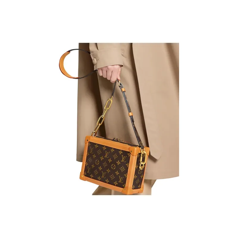 LOUIS VUITTON Soft Trunk Monogram Gold tone Brown-5