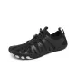 Black Zebra