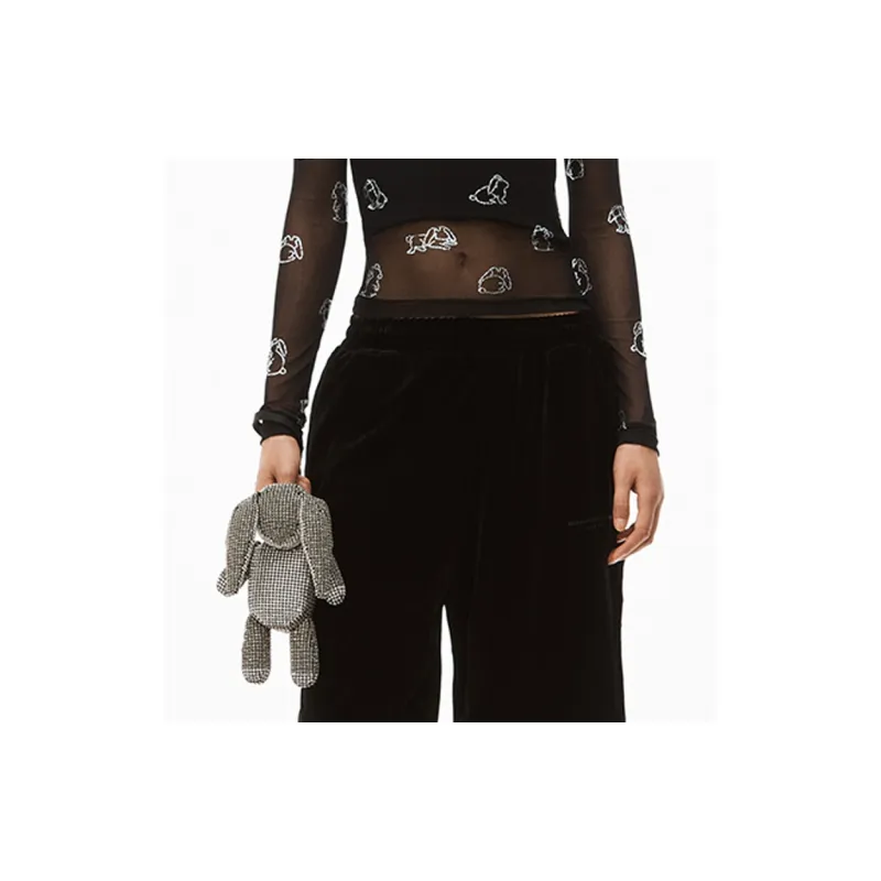Alexander Wang Clutches-4