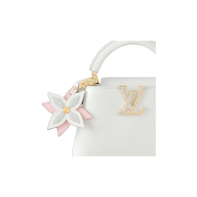LOUIS VUITTON Capucines Mini-3