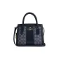 Bag+Dust Bag