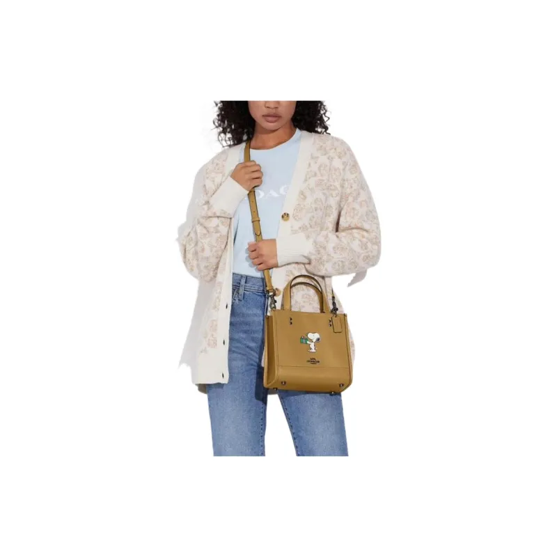 Snoopy X Peanuts X COACH Dempsey Handbags-3