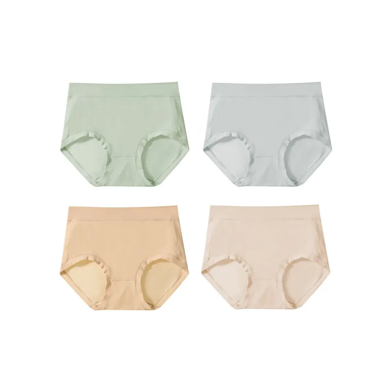 Lanza Underpants Women's 4 Pack-4
