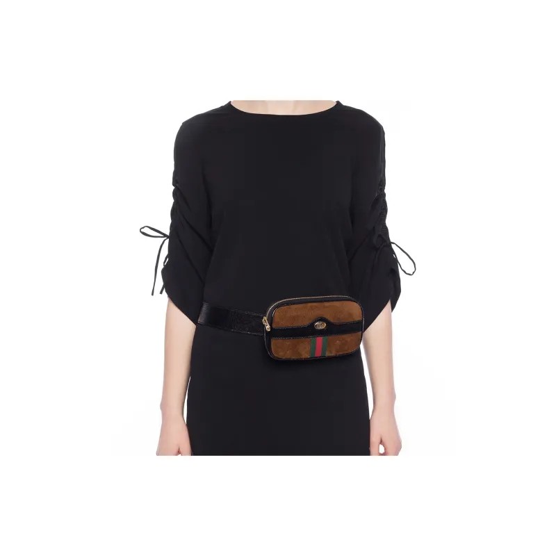 GUCCI Ophidia Fanny Packs-4