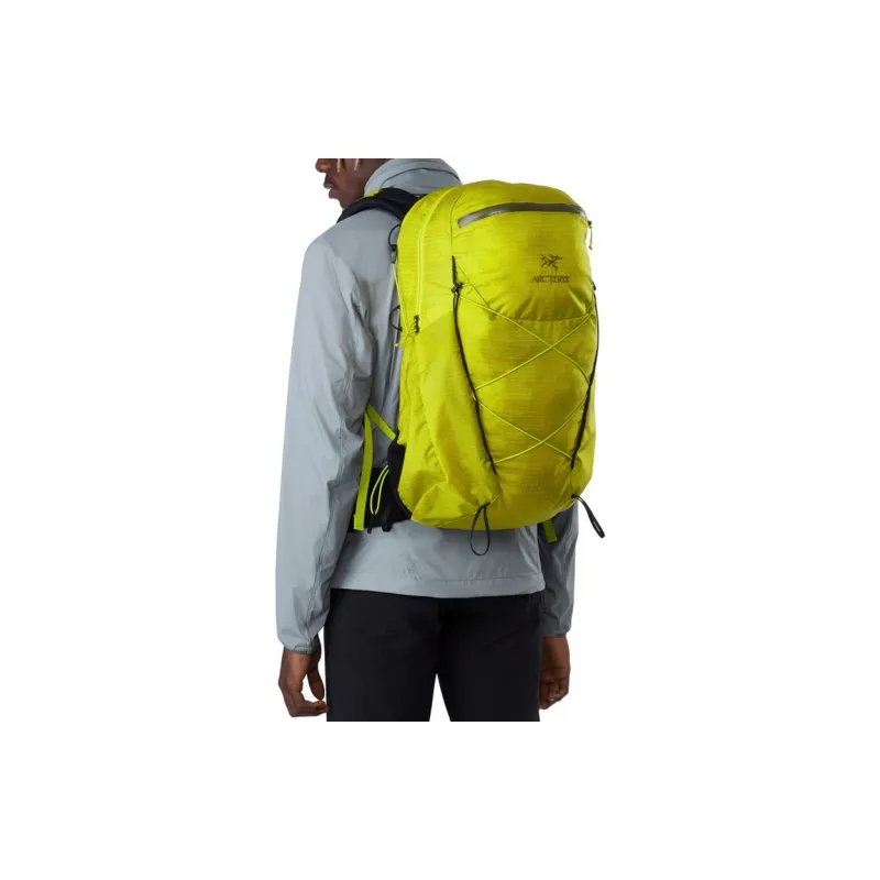 Arcteryx Polyester Backpack Regular Men's Glad Green-2