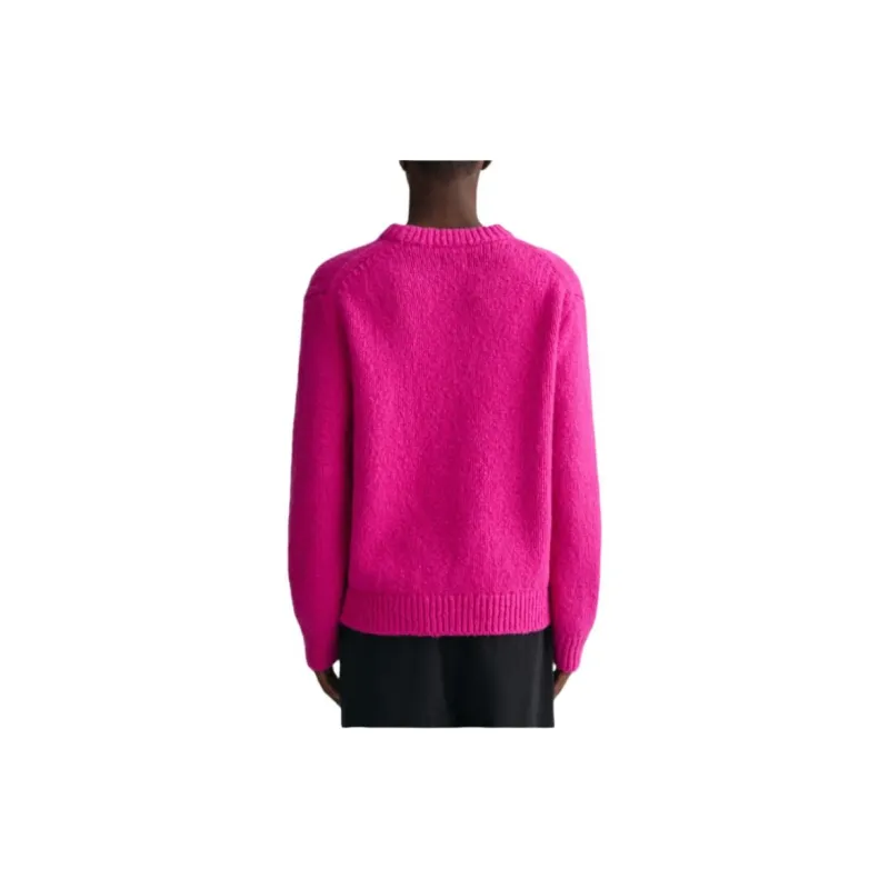 GANT Sweaters Unisex Purple-1