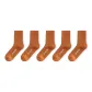 5 Brown[5 Pack]