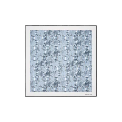 DIOR Silk Scarves Women's Light Blue