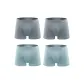 Galaxy Gray+Galaxy Gray+Nile Blue+Nile Blue
