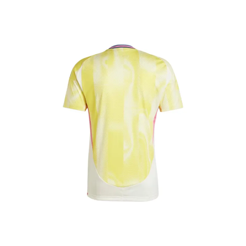 Adidas Free Shipping With AdiClub Juventus 24/25 Away Jersey-1