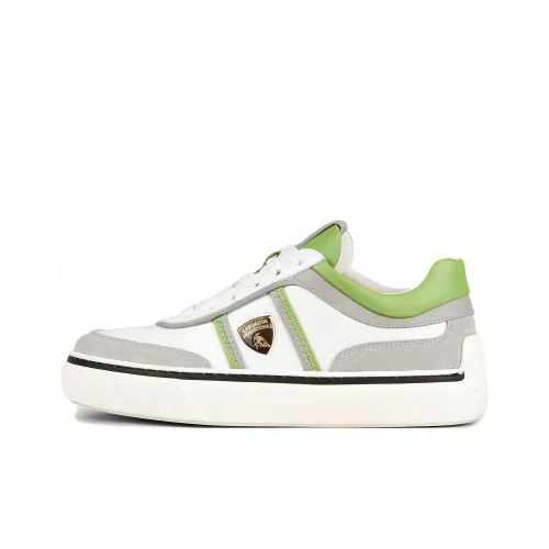 AUTOMOBILI LAMBORGHINI x TOD'S Low-Top Skateboard Shoes Women's Gray Green