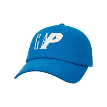 PALACE X Gap 6 Panel