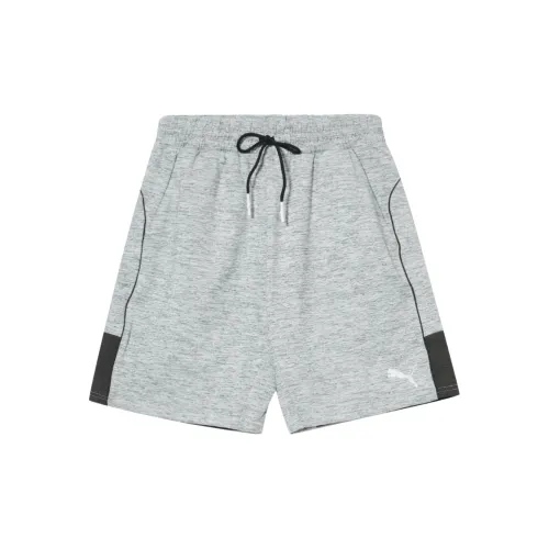 PUMA TRAIN Casual Shorts Men's Gray