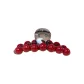 Dragon Bead Style