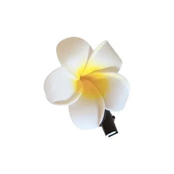 Connect The Past And The Present. Hair Clips Women's