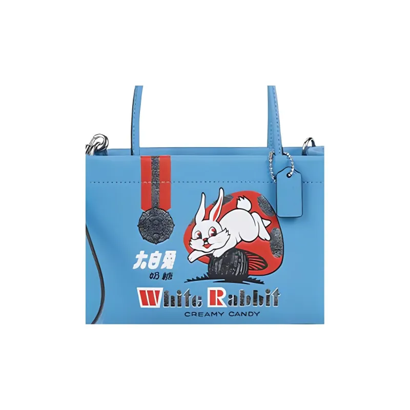White Rabbit X COACH Cashin Handbags-4