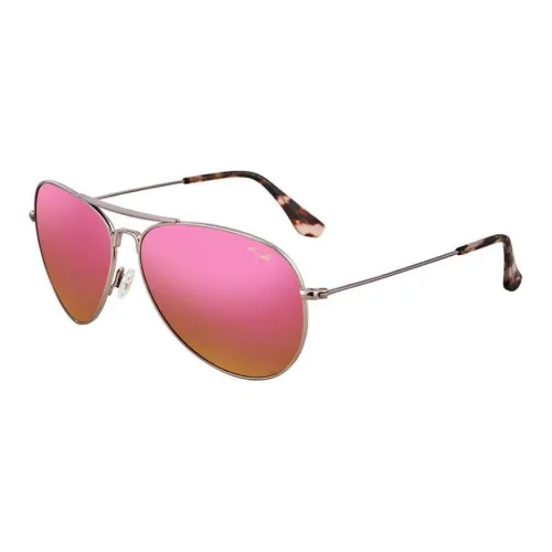Silber Jim Titanium Aviator sunglasses EYEWEAR Unisex Silver
