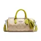 Bag+Dust Bag