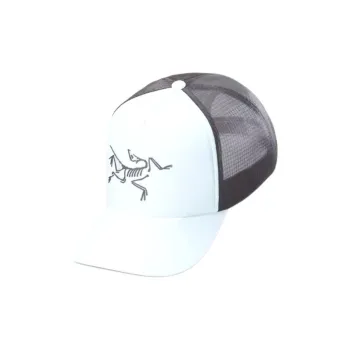 Arcteryx Polyester Baseball Caps Unisex Gray White