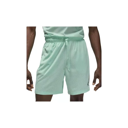 Jordan Sport Dri-Fit Mesh Shorts 