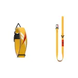 Sunset Yellow Leash+Collar Combination
