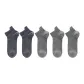 Light Gray 3 Blue Gray 2