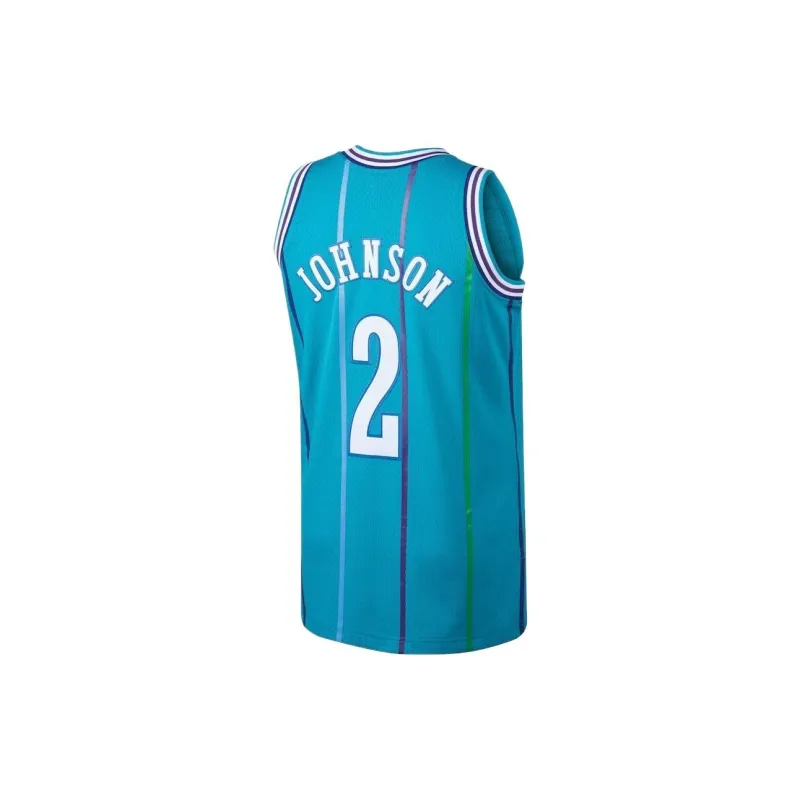 NBA Charlotte Hornets Mitchell & Ness Larry Johnson Basketball Jerseys Men's Cyan-1