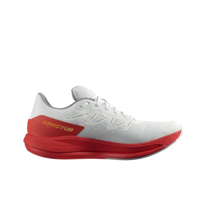 SALOMON Spectur Lightweight / L00-1