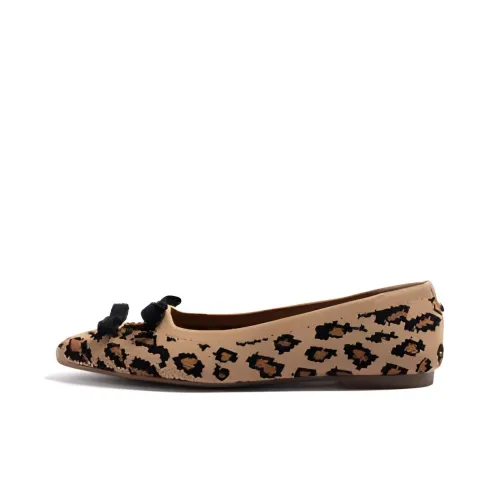 STEVE MADDEN Women's Casual Shoes Women's Leopard Print