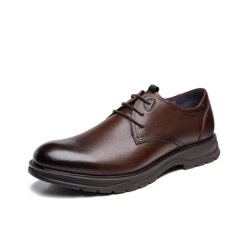 CAMEL Dress Shoes Men Low-Top