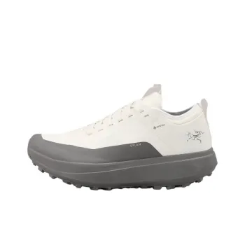 Arcteryx SYLAN GTX Anti-Slip Wear-Resistant Low-Top Trail Running Running Shoes Women's White Black