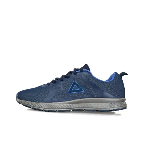 PEAK Running Shoes Men Low-Top Skirt Blue