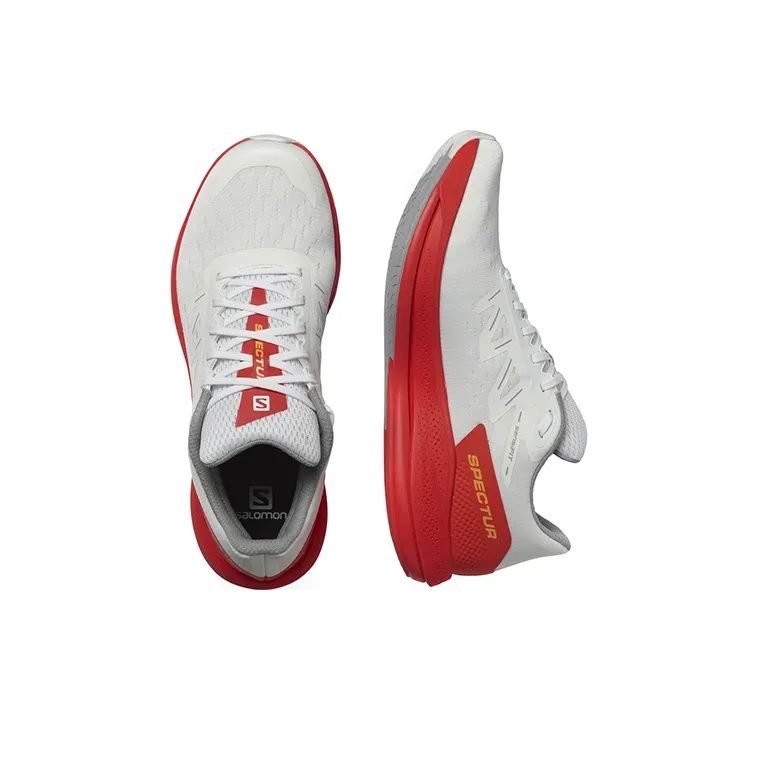 SALOMON Spectur Lightweight / L00-3