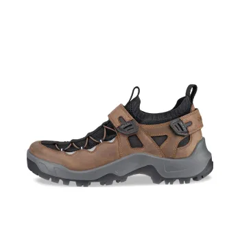 Ecco OFFROAD Low Top Trekking Shoes Men's Brown