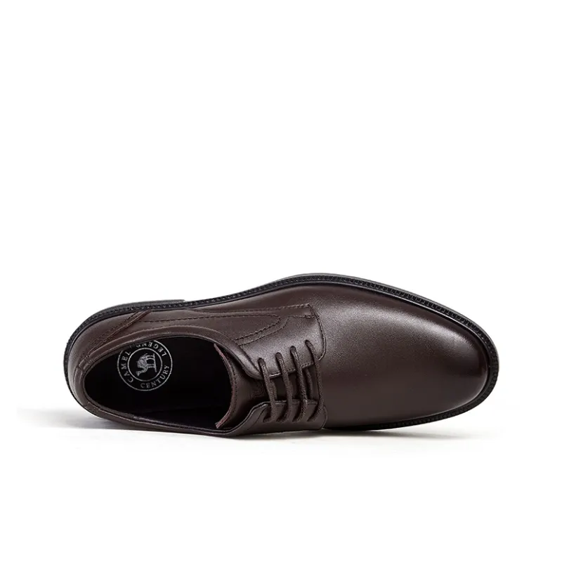 CAMEL Dress Shoes Men Low Top Brown-3