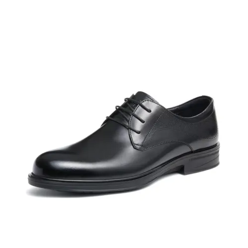 CAMEL Dress Shoes Men Low-Top