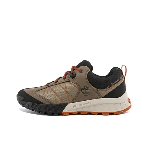 Timberland Hiking / Trekking Shoes Men Low-Top Brown