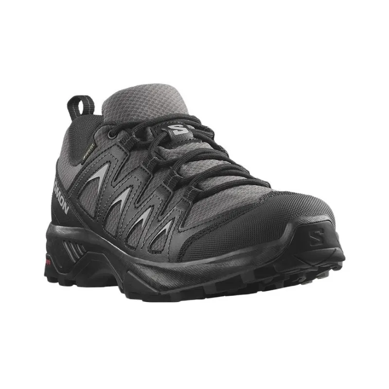 SALOMON X Braze Gtx / L00Women's-2