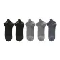 Black 2 Light Gray 2 Blue Gray 1