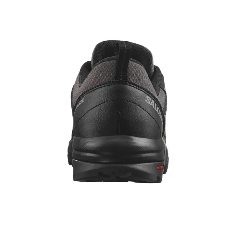 SALOMON X Braze Gtx / L00Women's-3