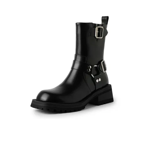 Rongcheng shoe king Ankle Boots Women's