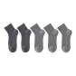 Light Gray 3 Blue Gray 2