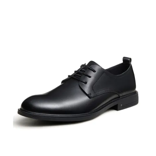 CAMEL Dress Shoes Men Low-Top